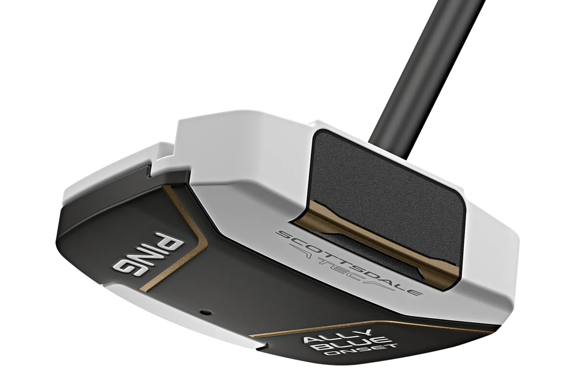 Ping Scottsdale TEC Ally Blue Onset CB Putter (EMAIL TO PURCHASE)